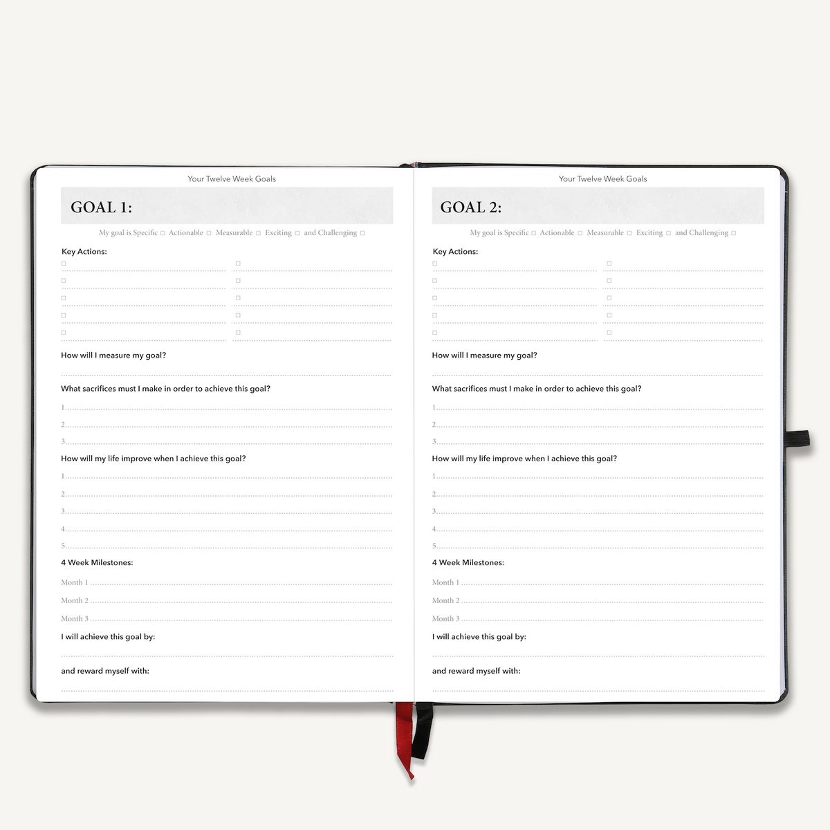 The Phoenix Planner | The Best Daily Planner for Entrepreneurs